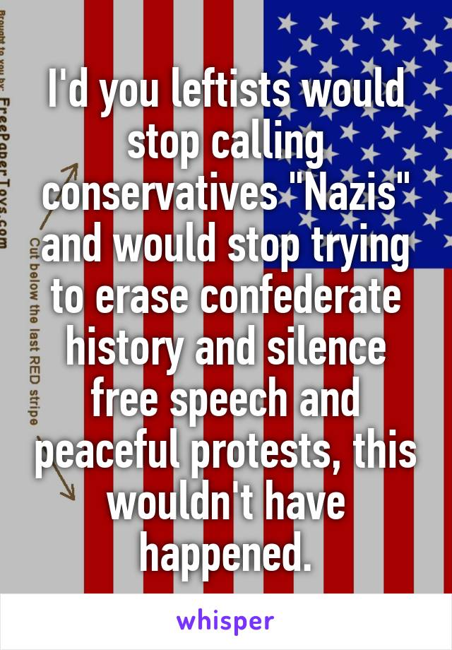 I'd you leftists would stop calling conservatives "Nazis" and would stop trying to erase confederate history and silence free speech and peaceful protests, this wouldn't have happened.