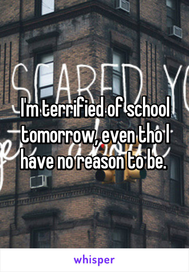 I'm terrified of school tomorrow, even tho I have no reason to be. 