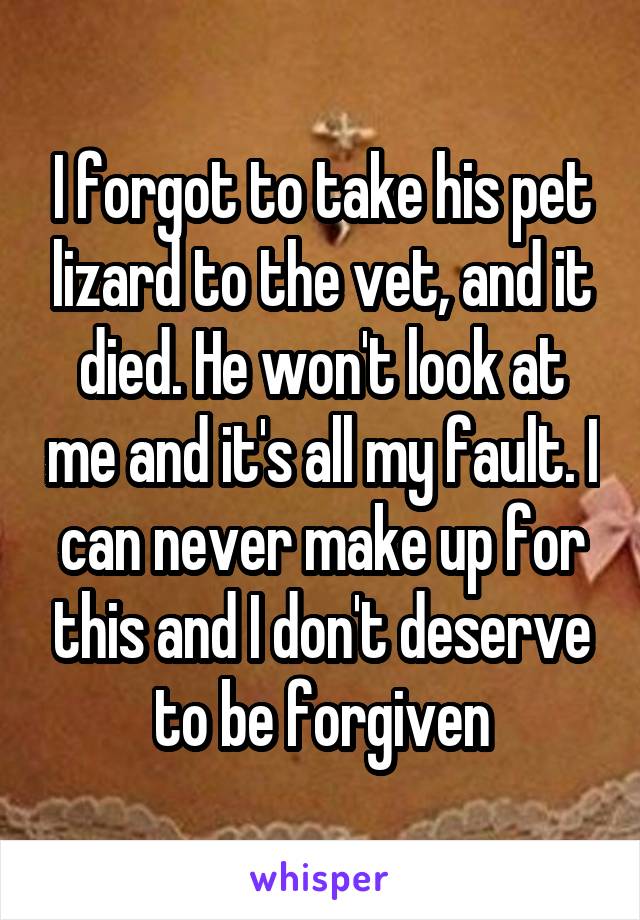 I forgot to take his pet lizard to the vet, and it died. He won't look at me and it's all my fault. I can never make up for this and I don't deserve to be forgiven