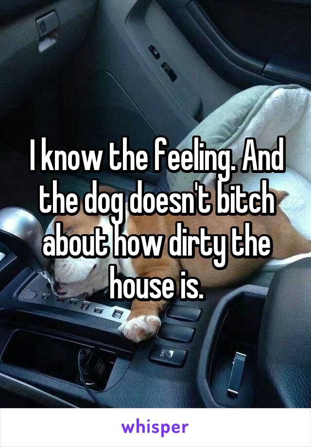 I know the feeling. And the dog doesn't bitch about how dirty the house is.
