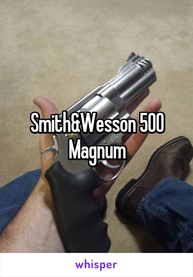 Smith&Wesson 500 Magnum