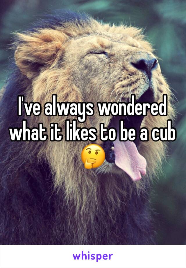 I've always wondered what it likes to be a cub 🤔