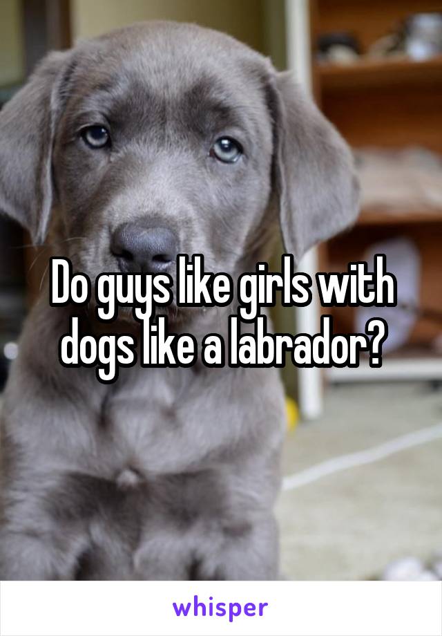 Do guys like girls with dogs like a labrador?