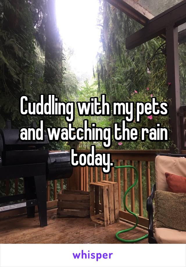 Cuddling with my pets and watching the rain today. 