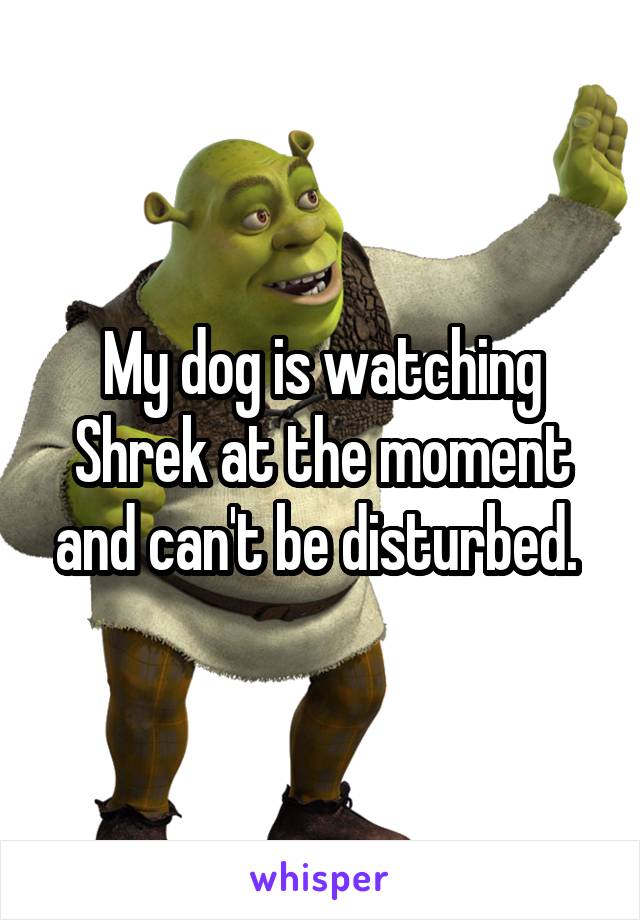 My dog is watching Shrek at the moment and can't be disturbed. 