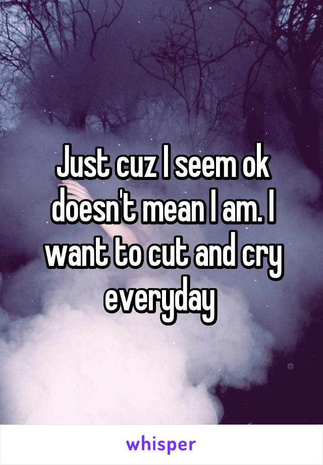 Just cuz I seem ok doesn't mean I am. I want to cut and cry everyday 