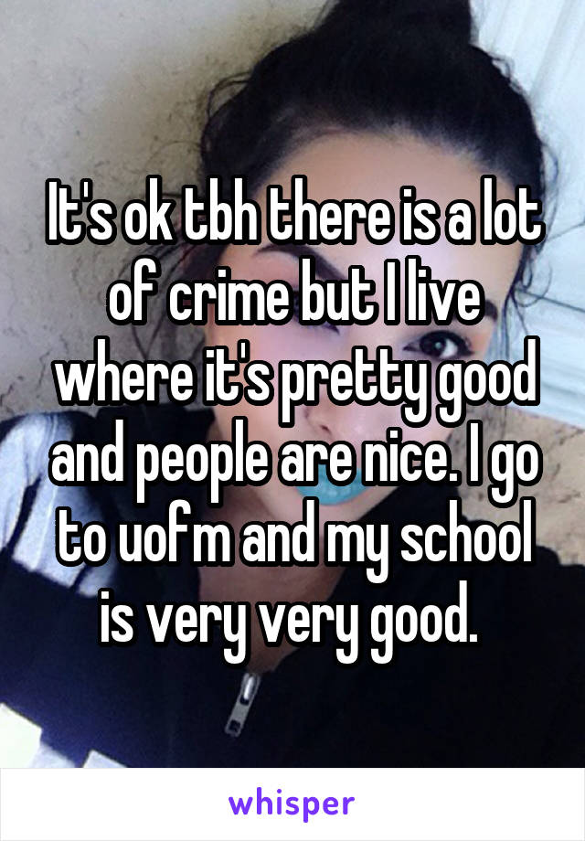It's ok tbh there is a lot of crime but I live where it's pretty good and people are nice. I go to uofm and my school is very very good. 