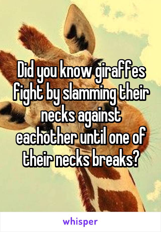 Did you know giraffes fight by slamming their necks against eachother until one of their necks breaks?