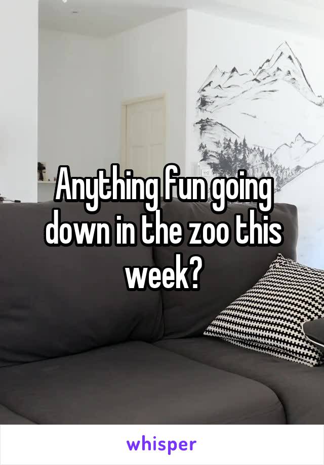 Anything fun going down in the zoo this week?