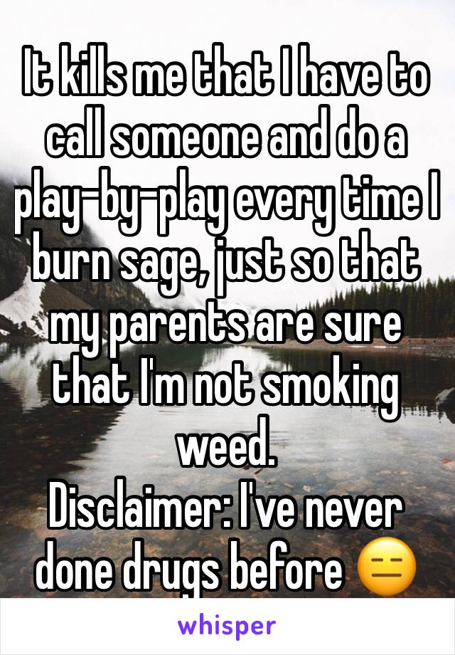 It kills me that I have to call someone and do a play-by-play every time I burn sage, just so that my parents are sure that I'm not smoking weed.
Disclaimer: I've never done drugs before 😑