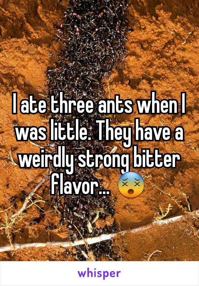 I ate three ants when I was little. They have a weirdly strong bitter flavor... 😵