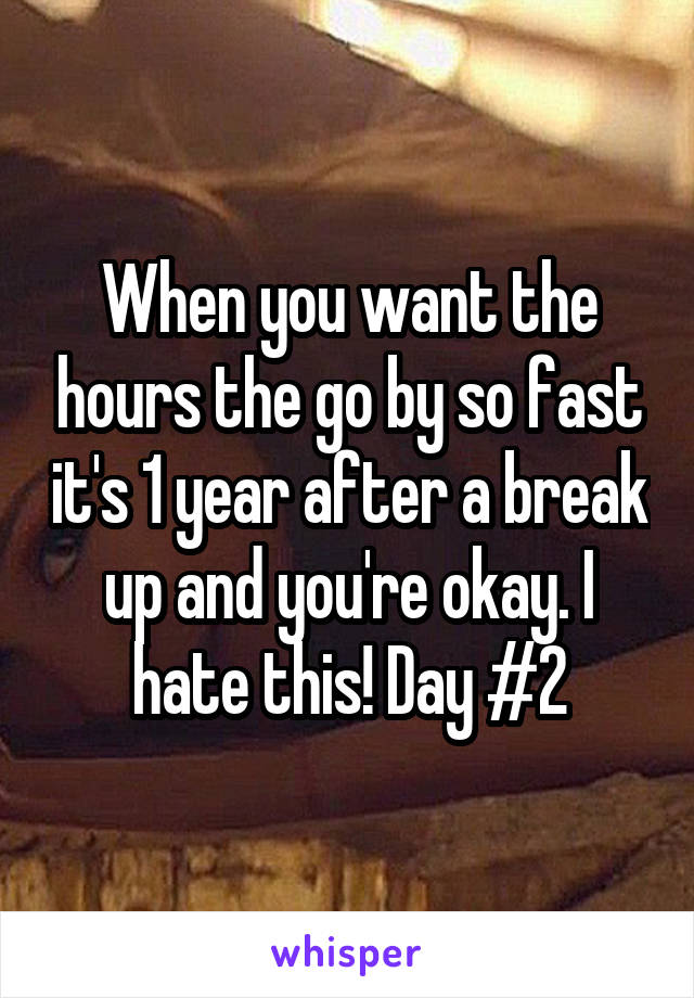 When you want the hours the go by so fast it's 1 year after a break up and you're okay. I hate this! Day #2