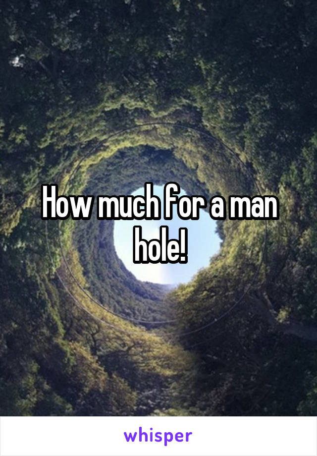 How much for a man hole!