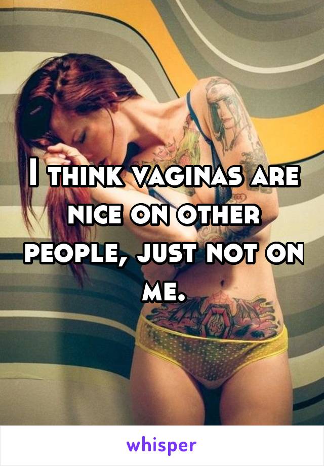 I think vaginas are nice on other people, just not on me.