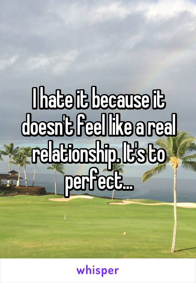 I hate it because it doesn't feel like a real relationship. It's to perfect...