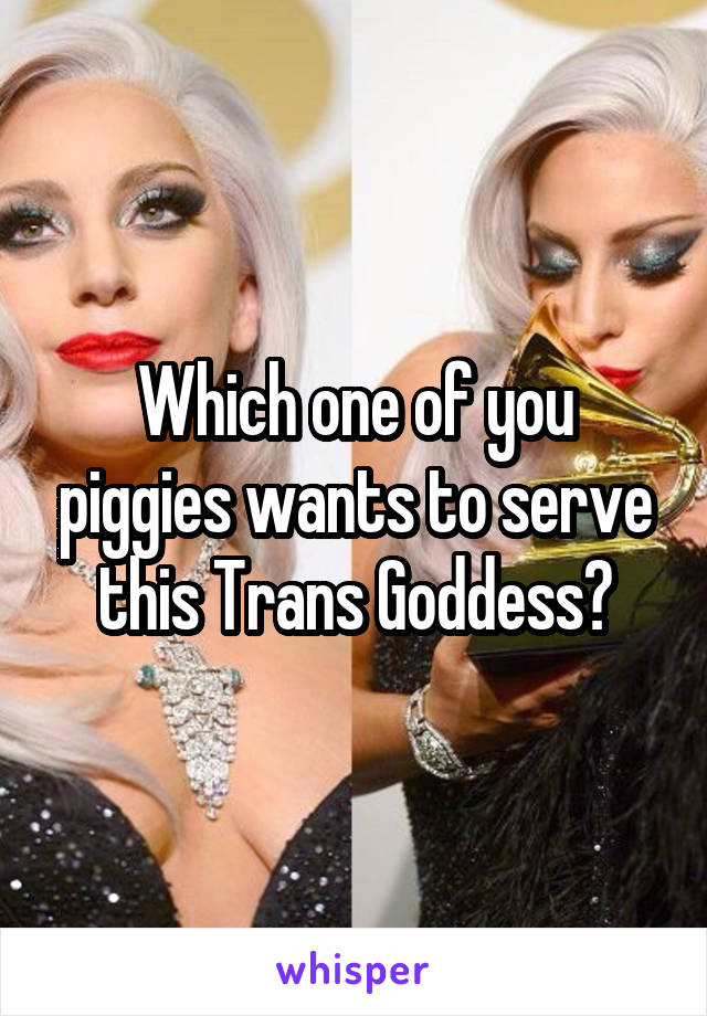 Which one of you piggies wants to serve this Trans Goddess?