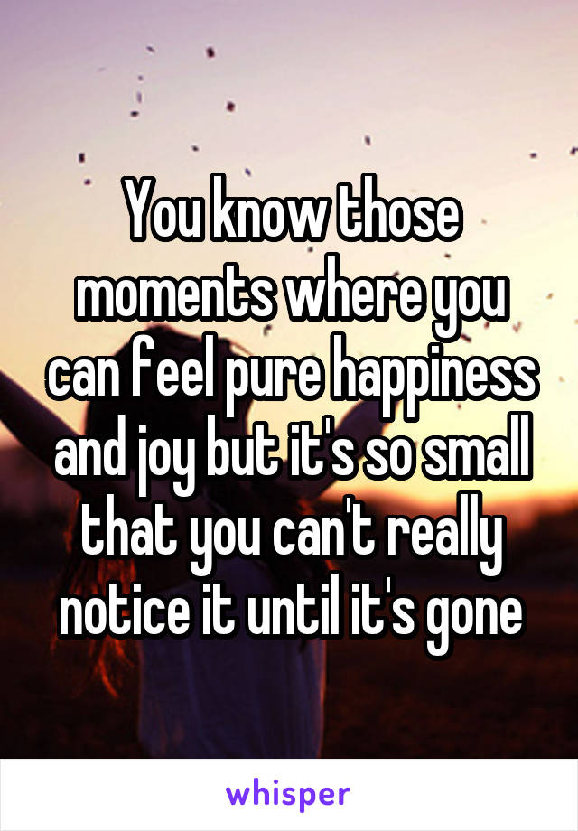 You know those moments where you can feel pure happiness and joy but it's so small that you can't really notice it until it's gone