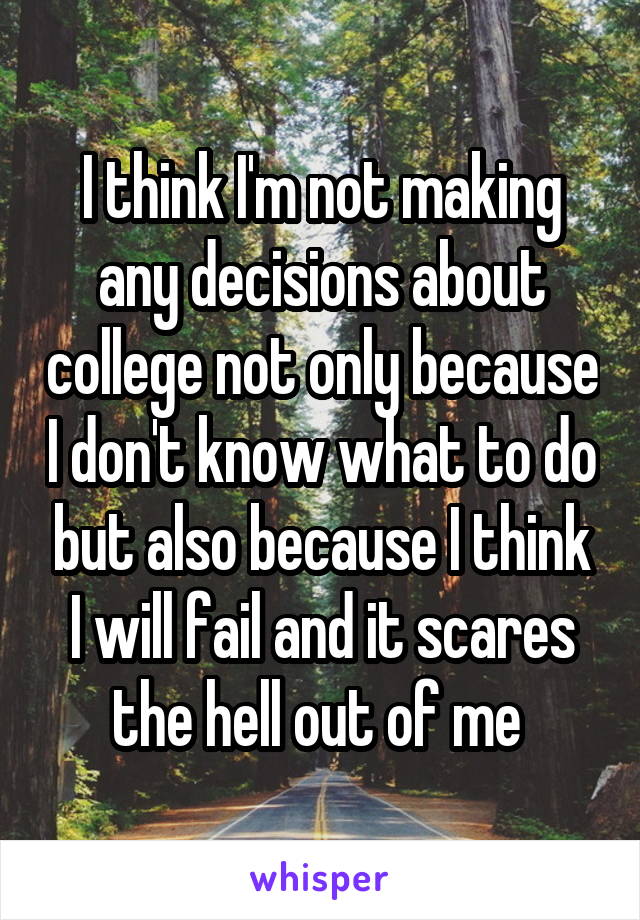 I think I'm not making any decisions about college not only because I don't know what to do but also because I think I will fail and it scares the hell out of me 