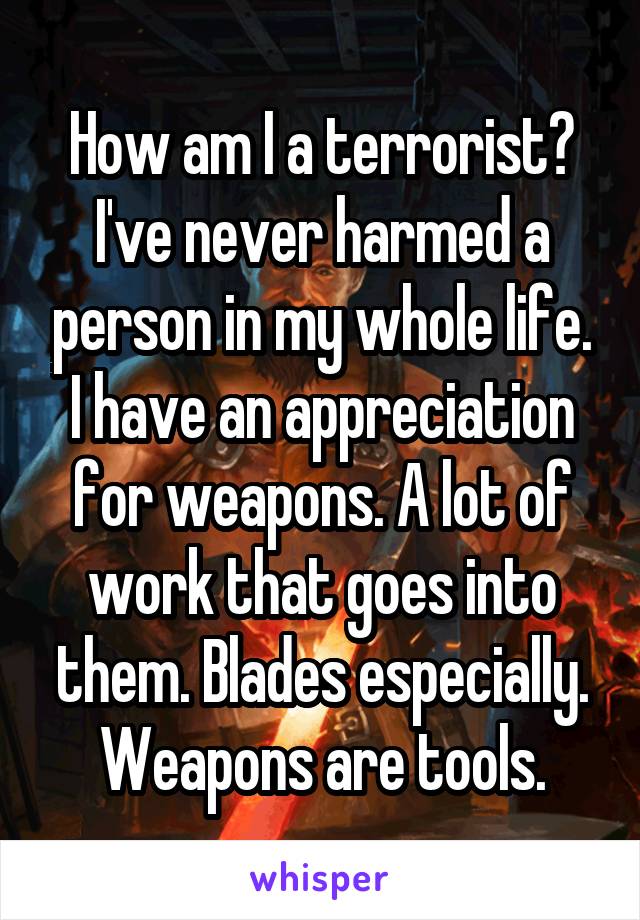 How am I a terrorist? I've never harmed a person in my whole life. I have an appreciation for weapons. A lot of work that goes into them. Blades especially. Weapons are tools.