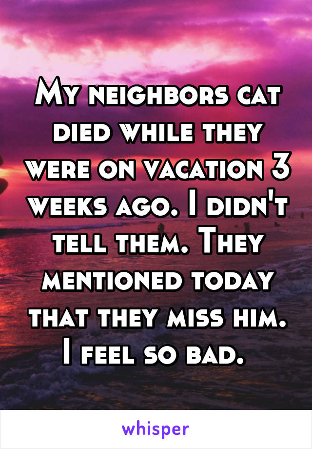 My neighbors cat died while they were on vacation 3 weeks ago. I didn't tell them. They mentioned today that they miss him. I feel so bad. 