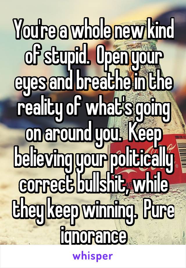 You're a whole new kind of stupid.  Open your eyes and breathe in the reality of what's going on around you.  Keep believing your politically correct bullshit, while they keep winning.  Pure ignorance