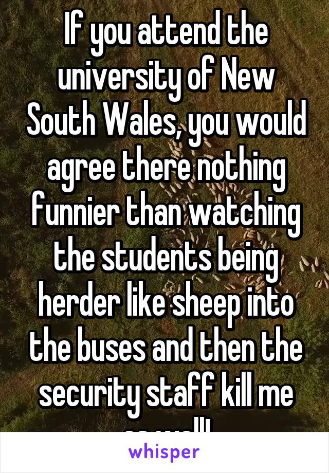 If you attend the university of New South Wales, you would agree there nothing funnier than watching the students being herder like sheep into the buses and then the security staff kill me as well!