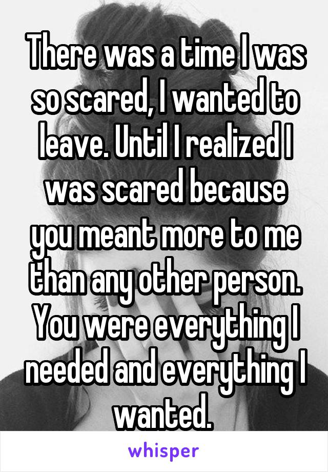 There was a time I was so scared, I wanted to leave. Until I realized I was scared because you meant more to me than any other person. You were everything I needed and everything I wanted. 