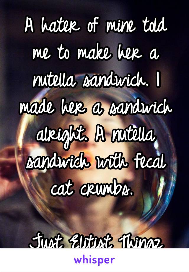 A hater of mine told me to make her a nutella sandwich. I made her a sandwich alright. A nutella sandwich with fecal cat crumbs. 

Just Elitist Thingz