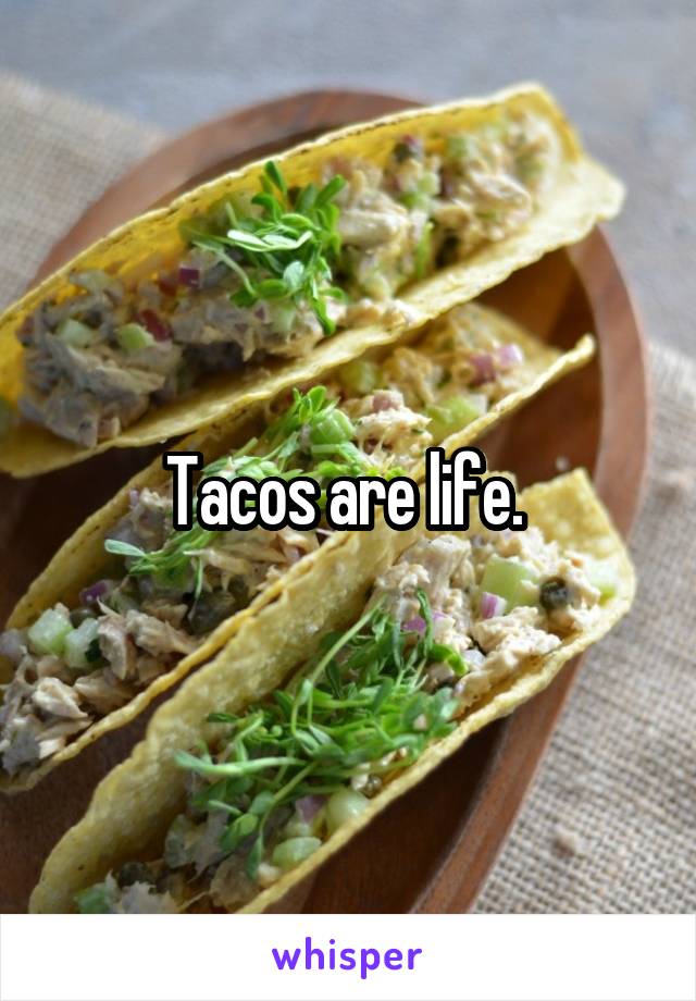 Tacos are life. 