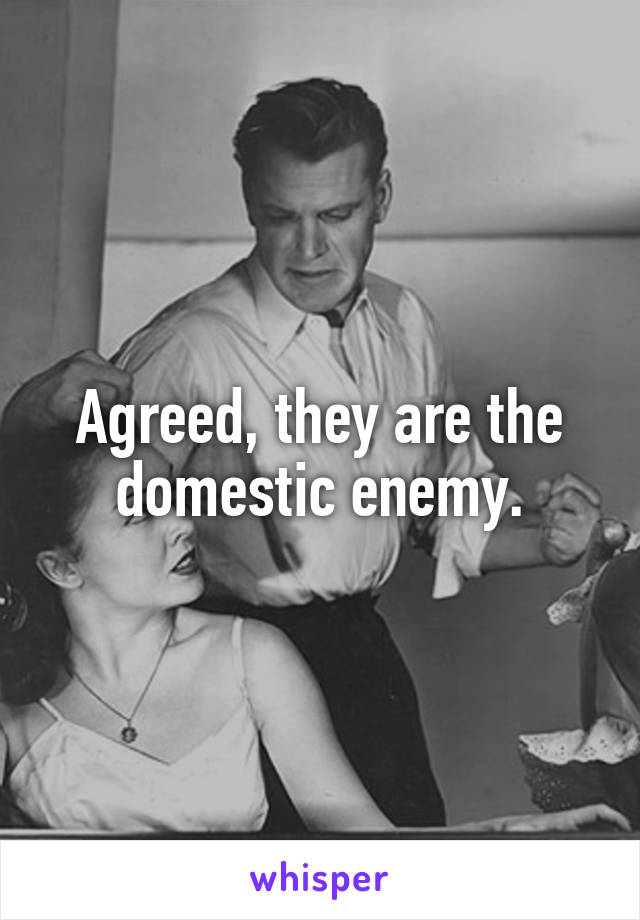 Agreed, they are the domestic enemy.