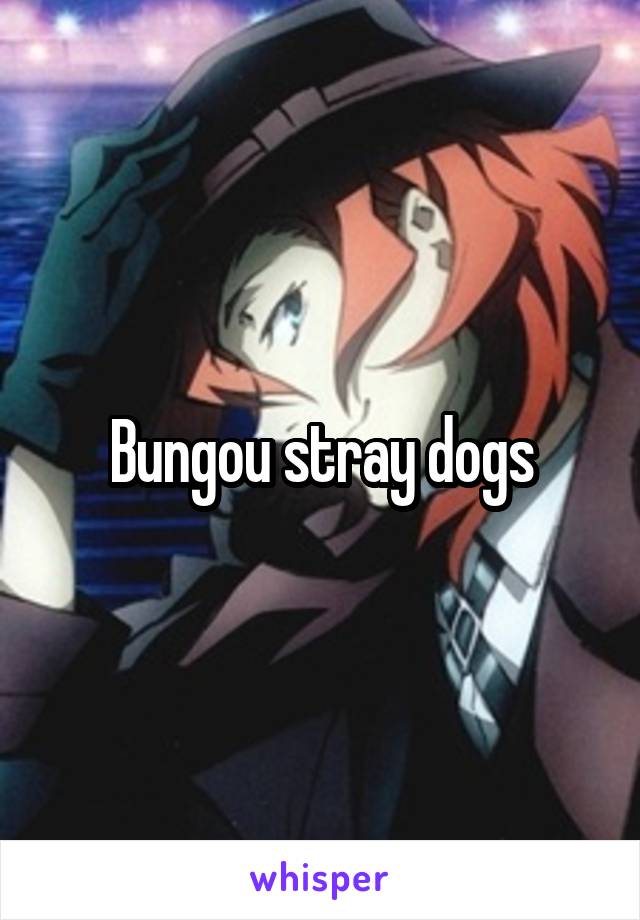 Bungou stray dogs