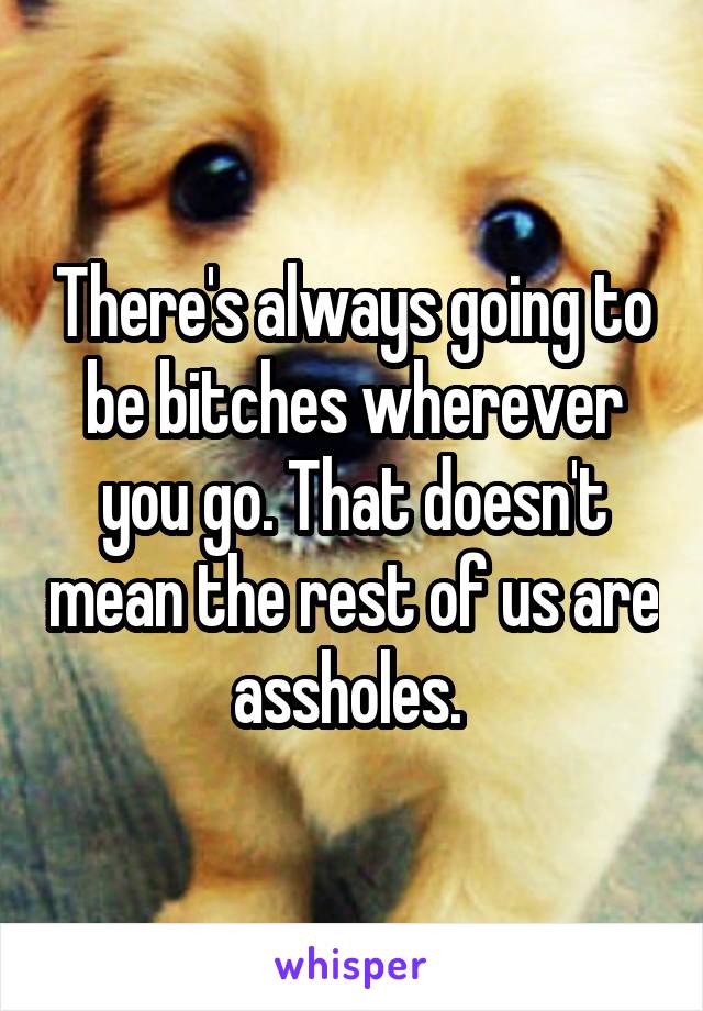 There's always going to be bitches wherever you go. That doesn't mean the rest of us are assholes. 