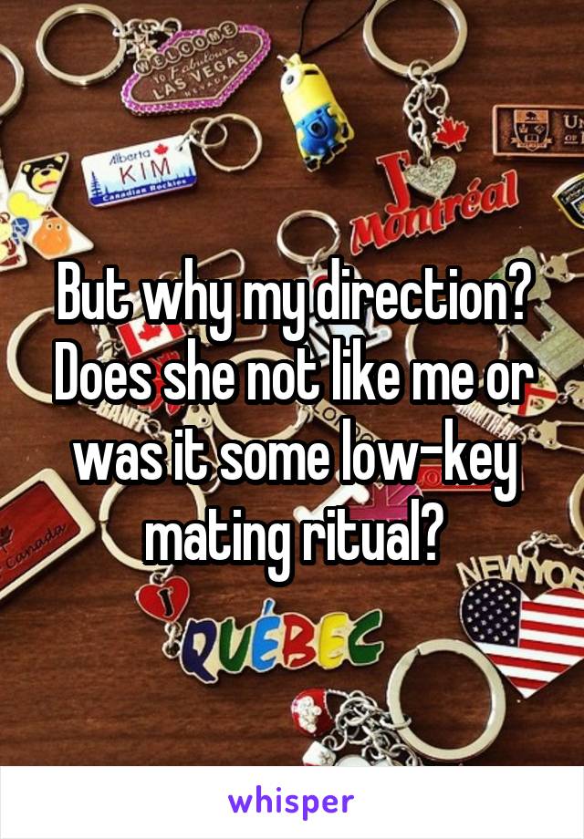 But why my direction? Does she not like me or was it some low-key mating ritual?