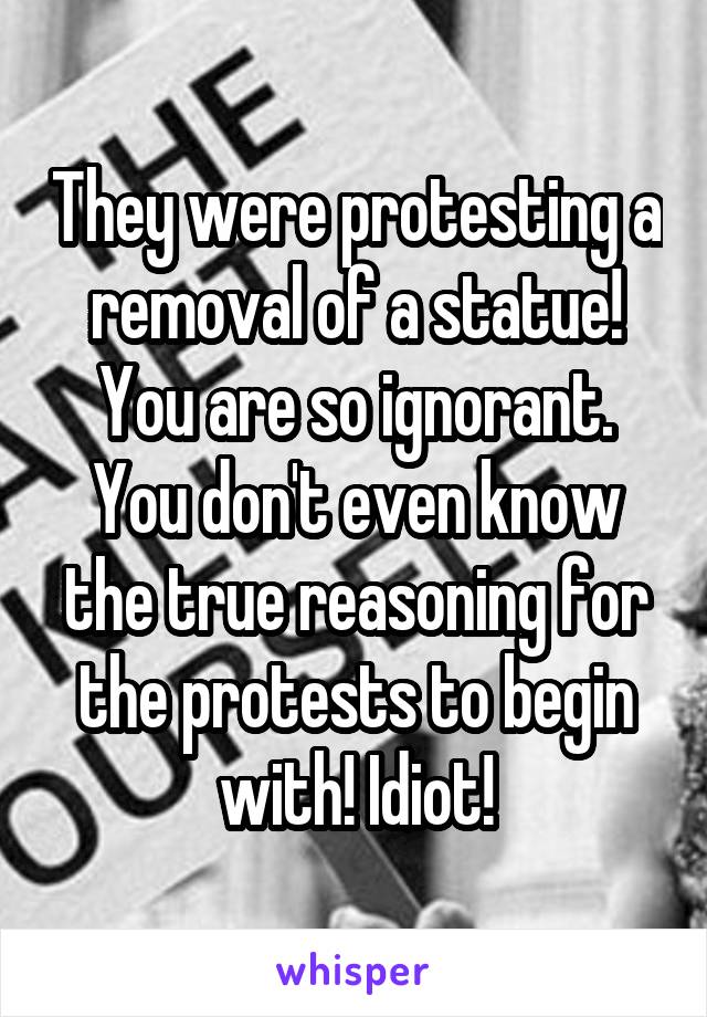 They were protesting a removal of a statue! You are so ignorant. You don't even know the true reasoning for the protests to begin with! Idiot!