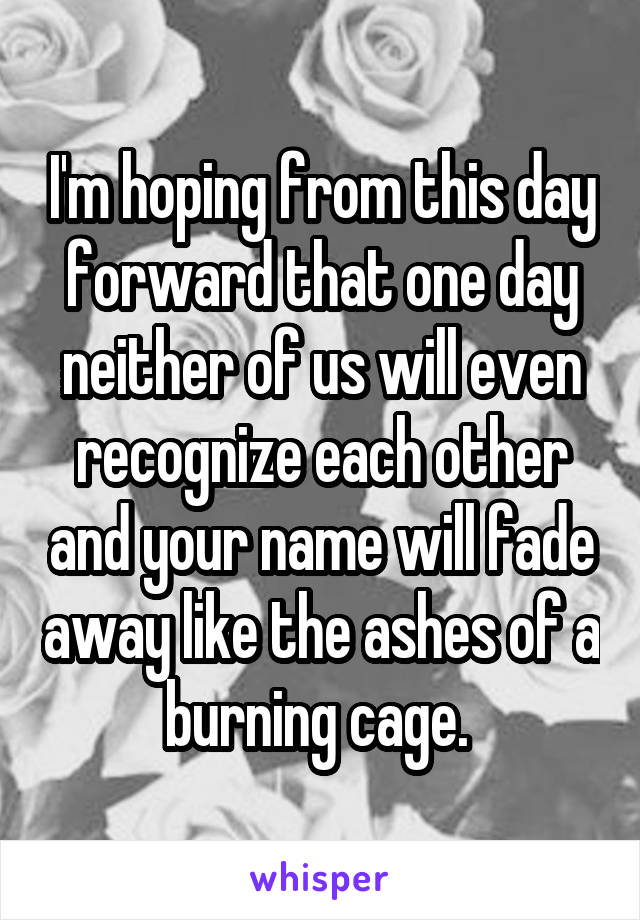 I'm hoping from this day forward that one day neither of us will even recognize each other and your name will fade away like the ashes of a burning cage. 