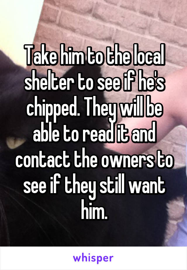 Take him to the local shelter to see if he's chipped. They will be able to read it and contact the owners to see if they still want him.