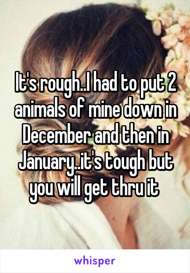 It's rough..I had to put 2 animals of mine down in December and then in January..it's tough but you will get thru it 