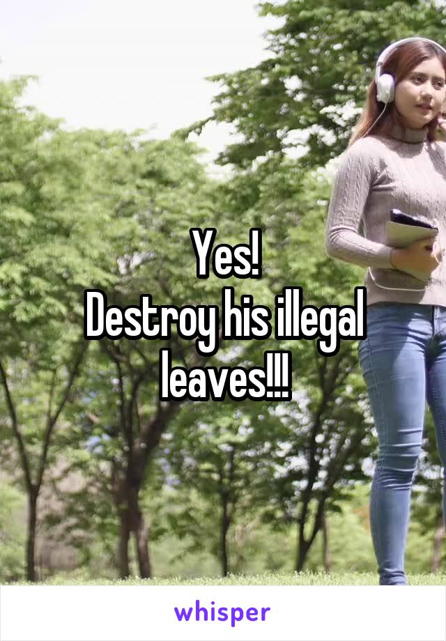 Yes!
Destroy his illegal leaves!!!