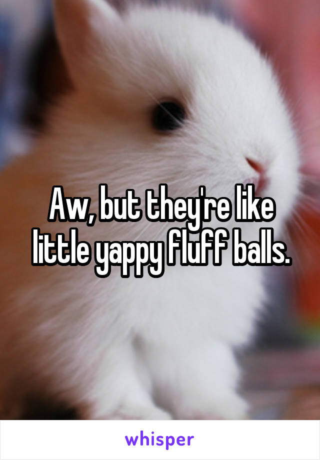Aw, but they're like little yappy fluff balls.