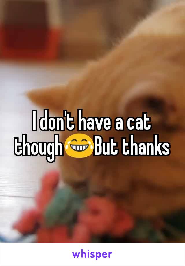 I don't have a cat though😂But thanks