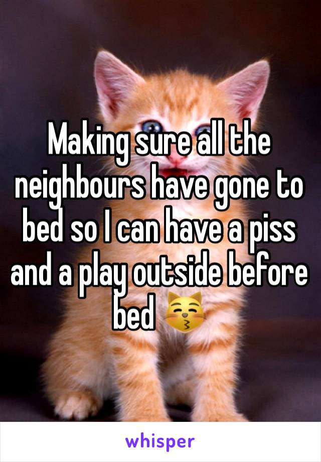 Making sure all the neighbours have gone to bed so I can have a piss and a play outside before bed 😽