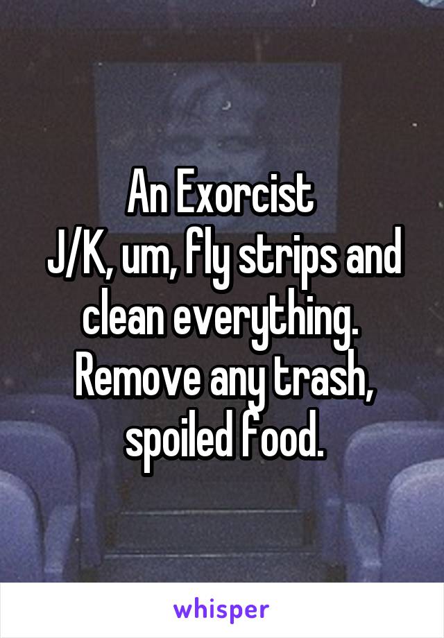 An Exorcist 
J/K, um, fly strips and clean everything.  Remove any trash, spoiled food.