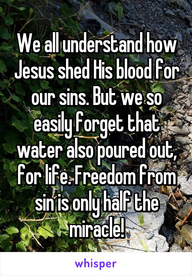 We all understand how Jesus shed His blood for our sins. But we so easily forget that water also poured out, for life. Freedom from sin is only half the miracle!