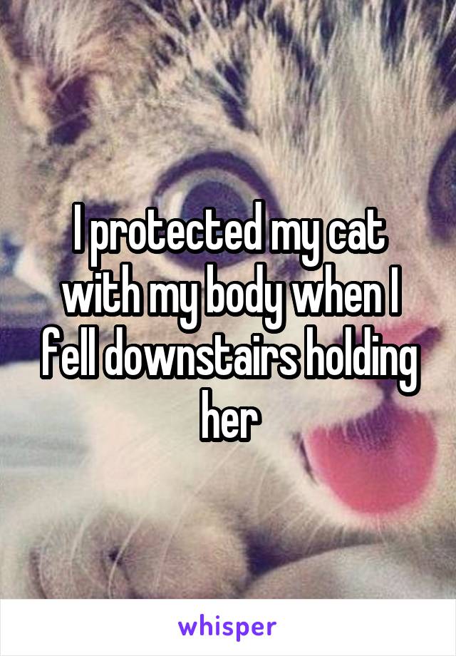 I protected my cat with my body when I fell downstairs holding her
