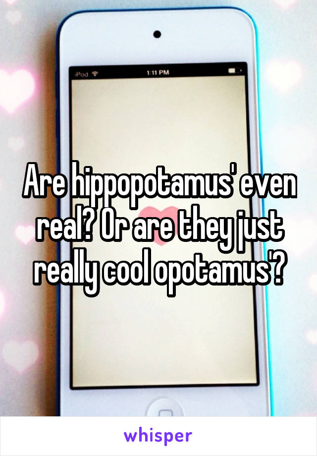Are hippopotamus' even real? Or are they just really cool opotamus'?