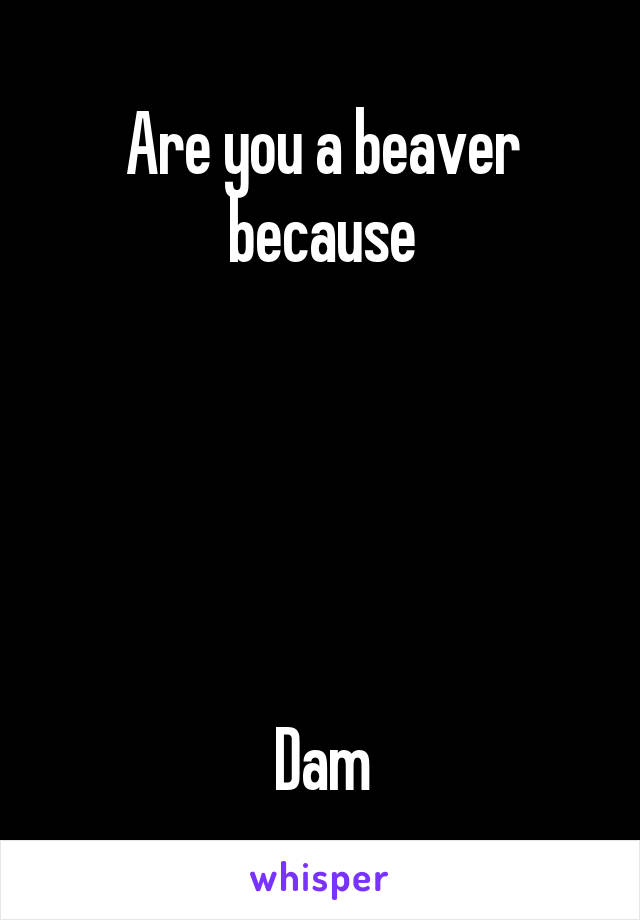 Are you a beaver because





Dam