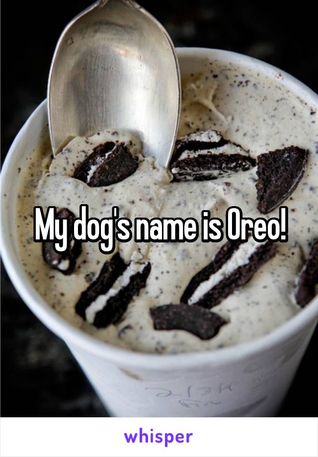 My dog's name is Oreo!