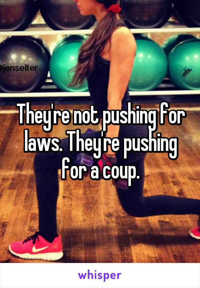 They're not pushing for laws. They're pushing for a coup.