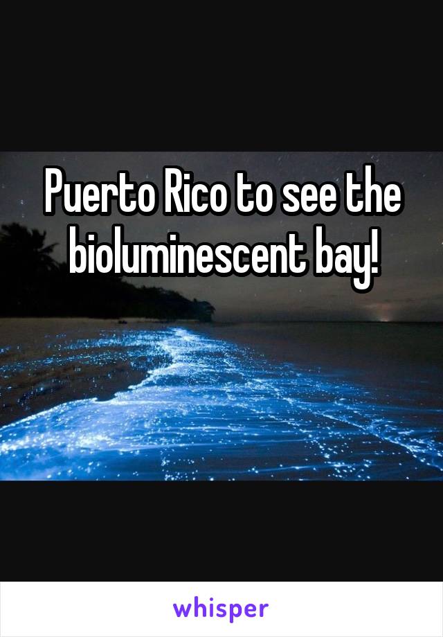 Puerto Rico to see the bioluminescent bay!


