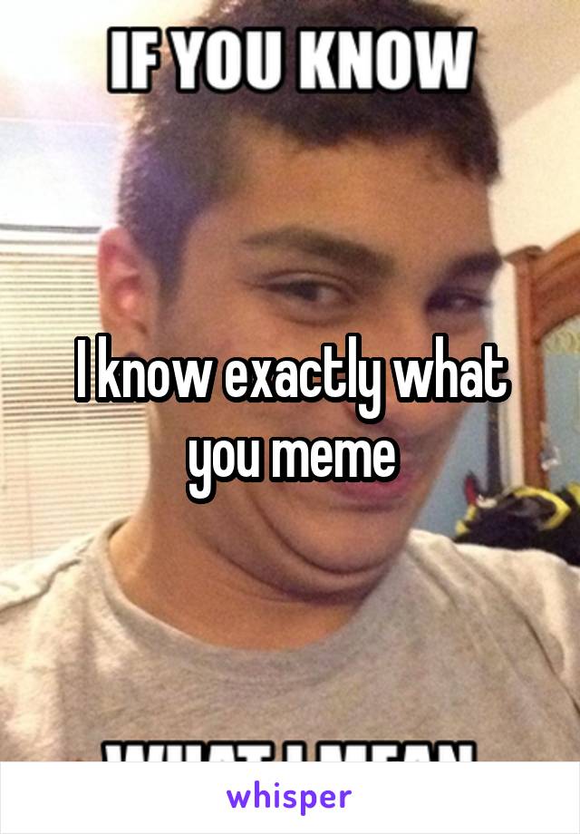I know exactly what you meme